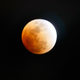 Illustration for article titled How Will Tonight's Lunar Eclipse Affect You?